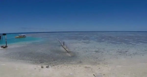 Vibrant blue waters and sandy shoreline at low tide.