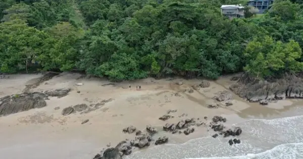 Aerial view of a secluded beach with rocks.