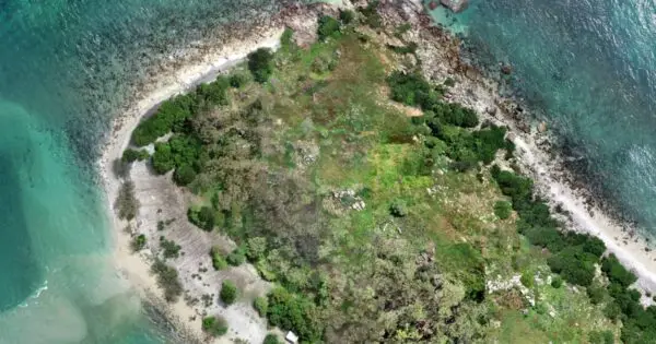 Aerial view of a lush, secluded island coastline.
