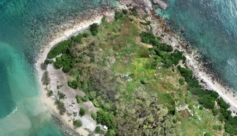 Aerial view of a lush, secluded island coastline.