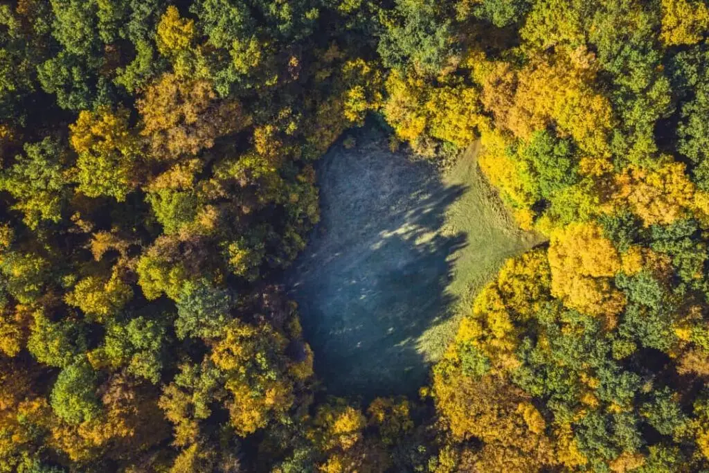 Aerial view of forested area with open space.