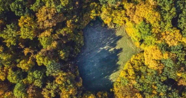 Aerial view of forested area with open space.