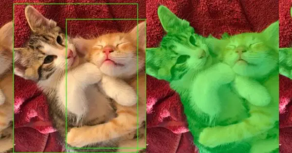 Two kittens cuddling on a soft blanket.