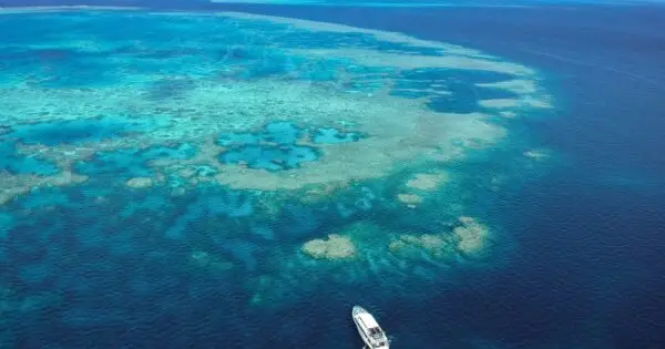 Aerial view of vibrant coral reef and boat.