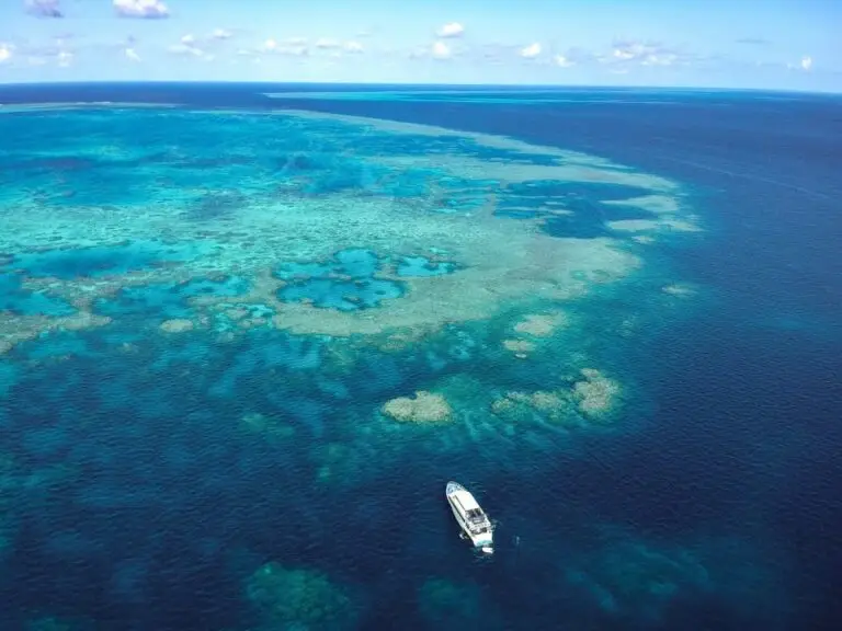 Aerial view of vibrant coral reef and boat.