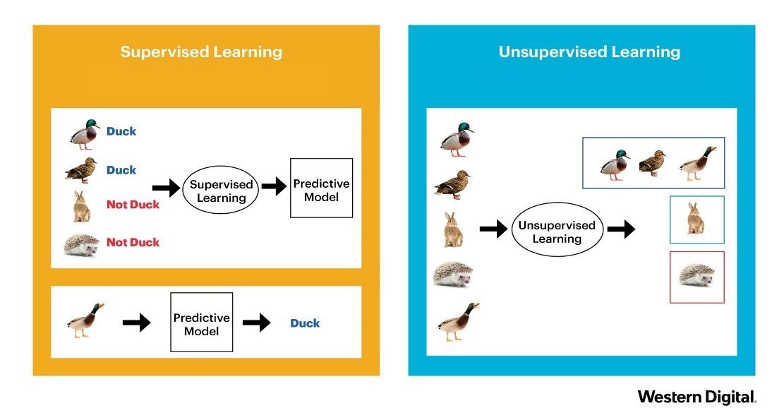 machine learning drones