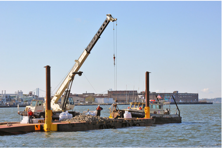 oyster reefs