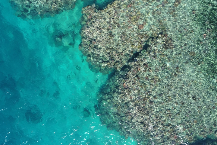 Coral Reef Cooktown drones