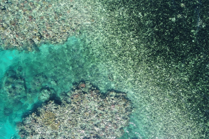 Coral Reef Cooktown drones