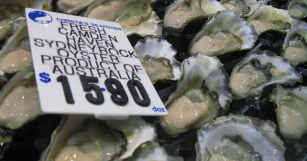 Fresh Sydney Rock oysters priced at $15.90