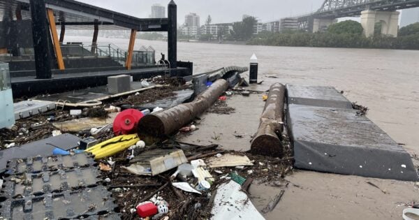 Flood debris collected near a riverbank
