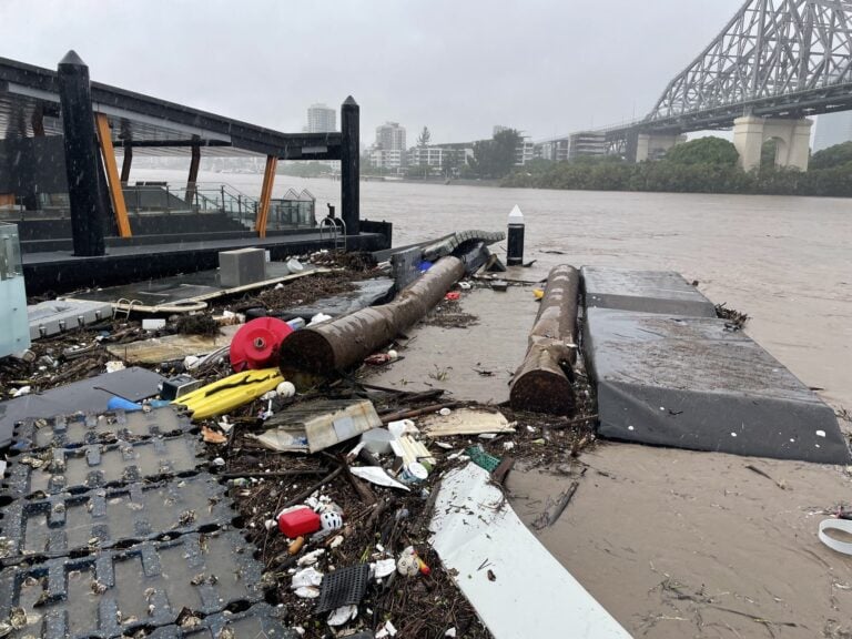 Flood debris collected near a riverbank