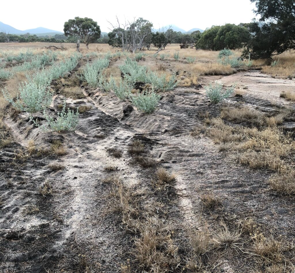 Dryland salinity and drones Managing salinisation in WA