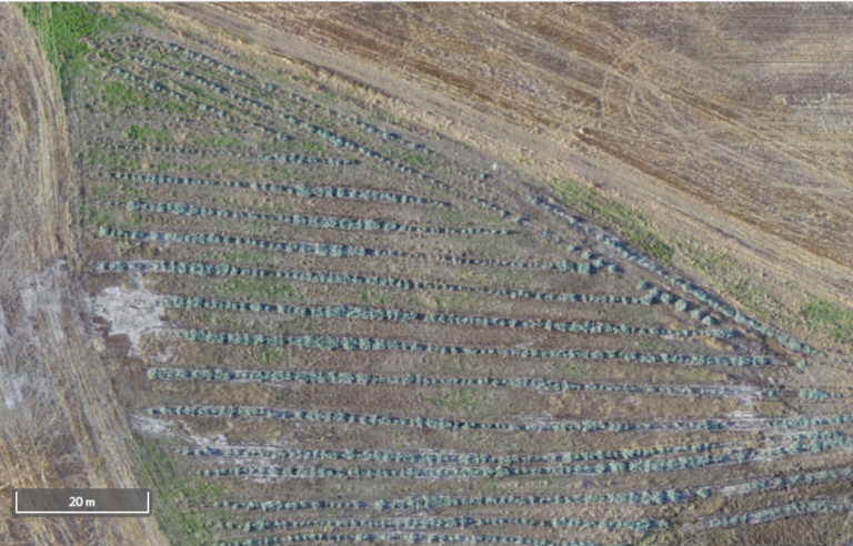 Dryland Salinity And Drones Managing Salinisation In Wa