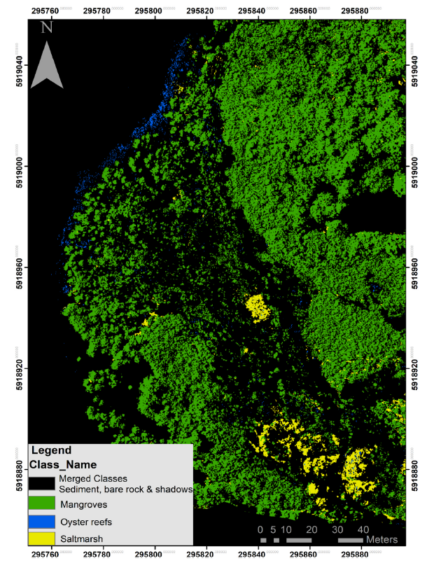 Environmental monitoring and management classification of intertidal habitat