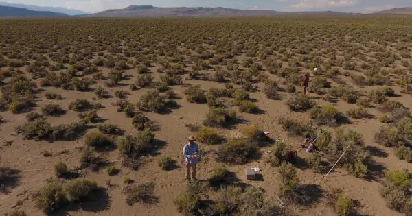 Aerial view of researchers in a desert landscape.