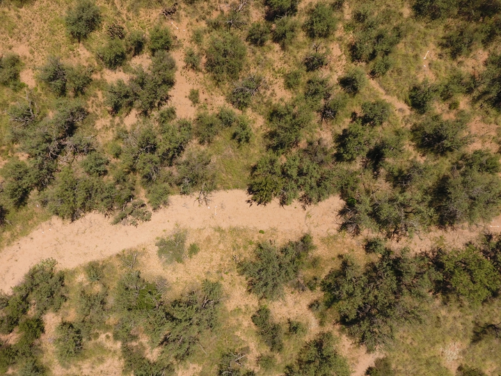 Rangeland management area from drone