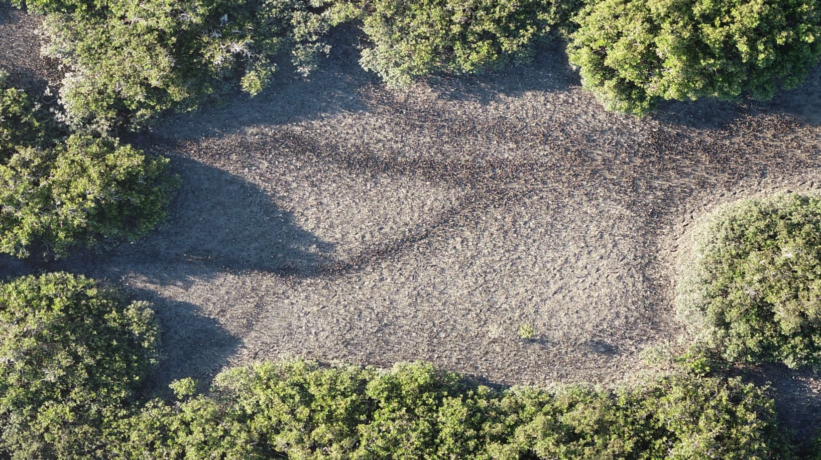 Meola rocky reef from a drone