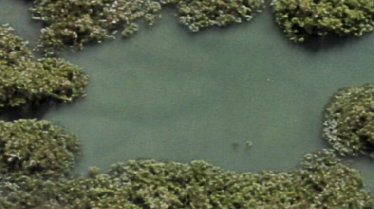 Meola rocky reef from a satellite