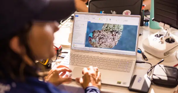Person using a laptop for data analysis.