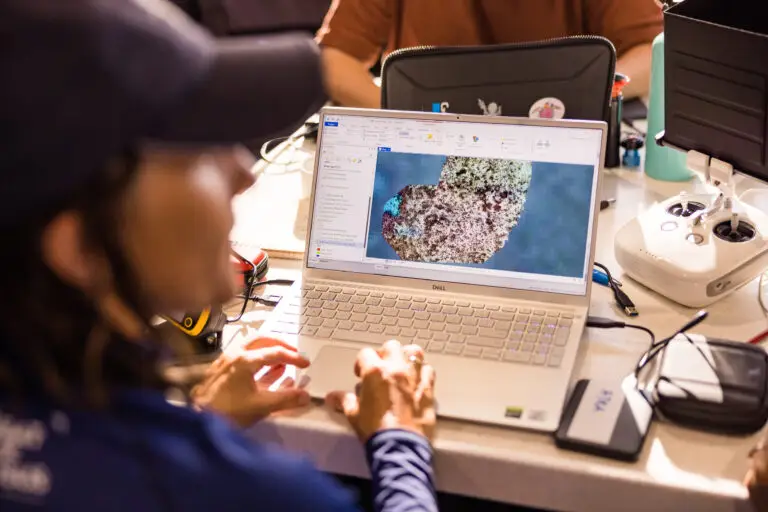 Person using a laptop for data analysis.