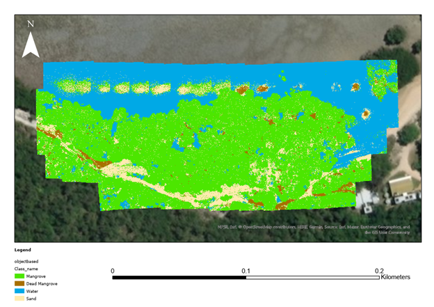 Object-based classification of the orthomosaic.