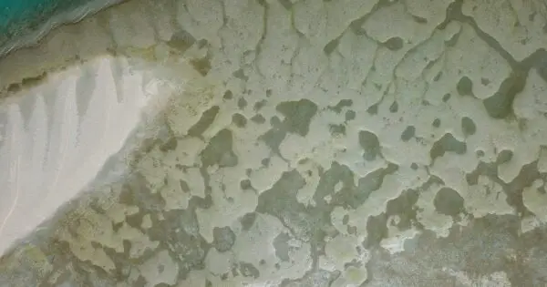 Aerial view of patterned coastline and shallow waters.