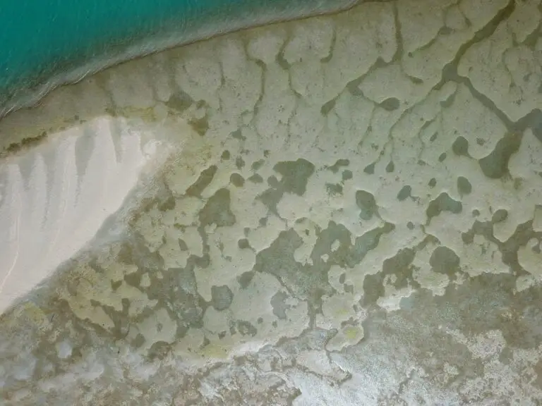 Aerial view of patterned coastline and shallow waters.