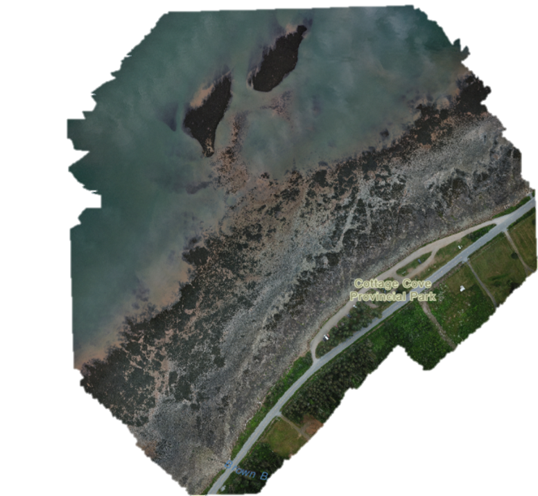 Cottage cove, a region locals have reported significant coastal erosion