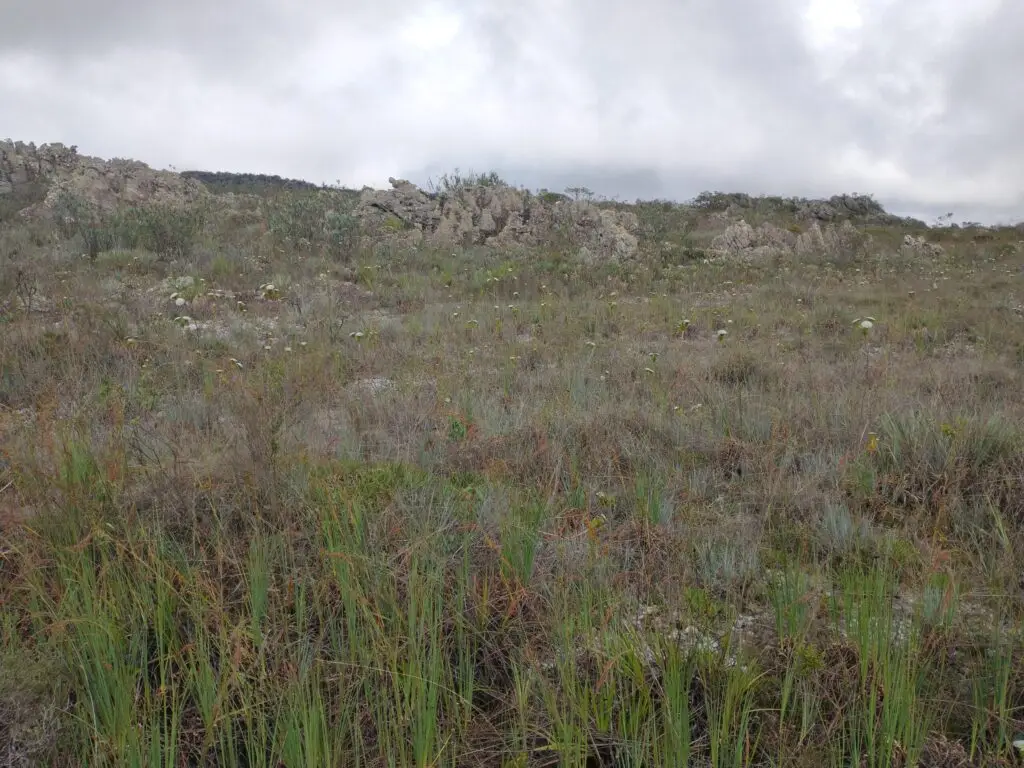 Rocky hill with sparse vegetation under cloudy sky