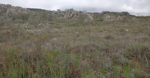 Rocky hill with sparse vegetation under cloudy sky