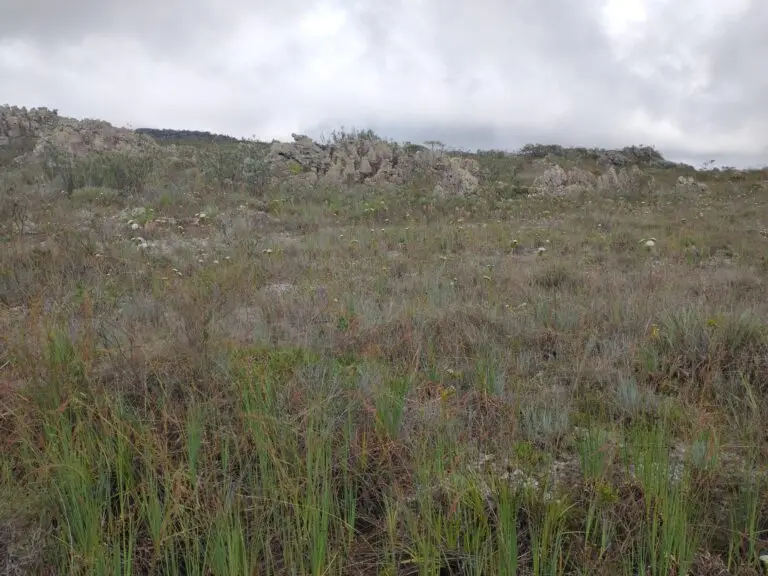 Rocky hill with sparse vegetation under cloudy sky