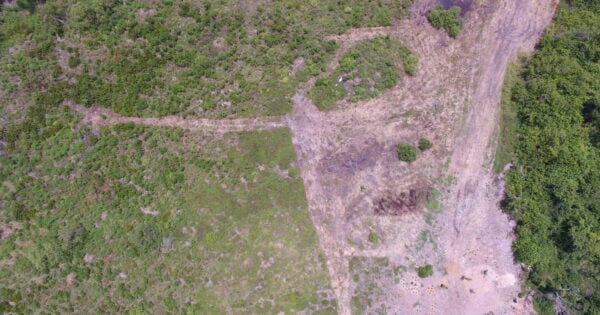 Aerial view of a green, uneven landscape.