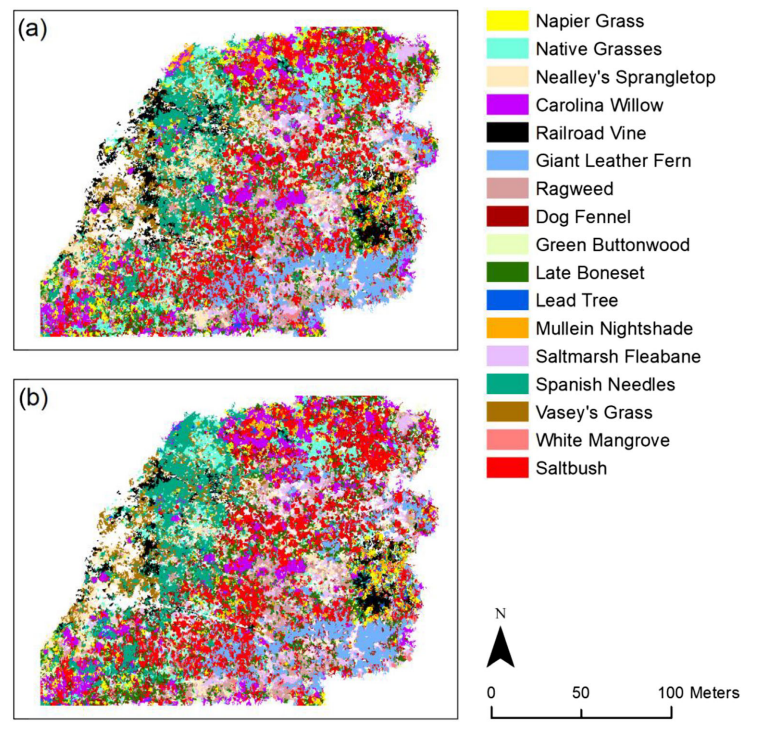 Wetland species classification with machine learning