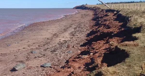 Scenic red sandy beach under a clear blue sky.