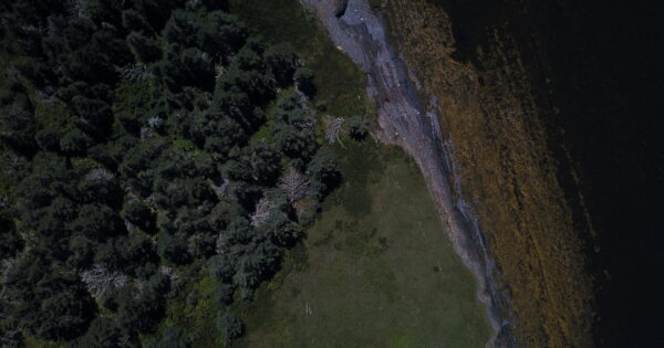 Aerial view of forest meeting rocky shoreline.