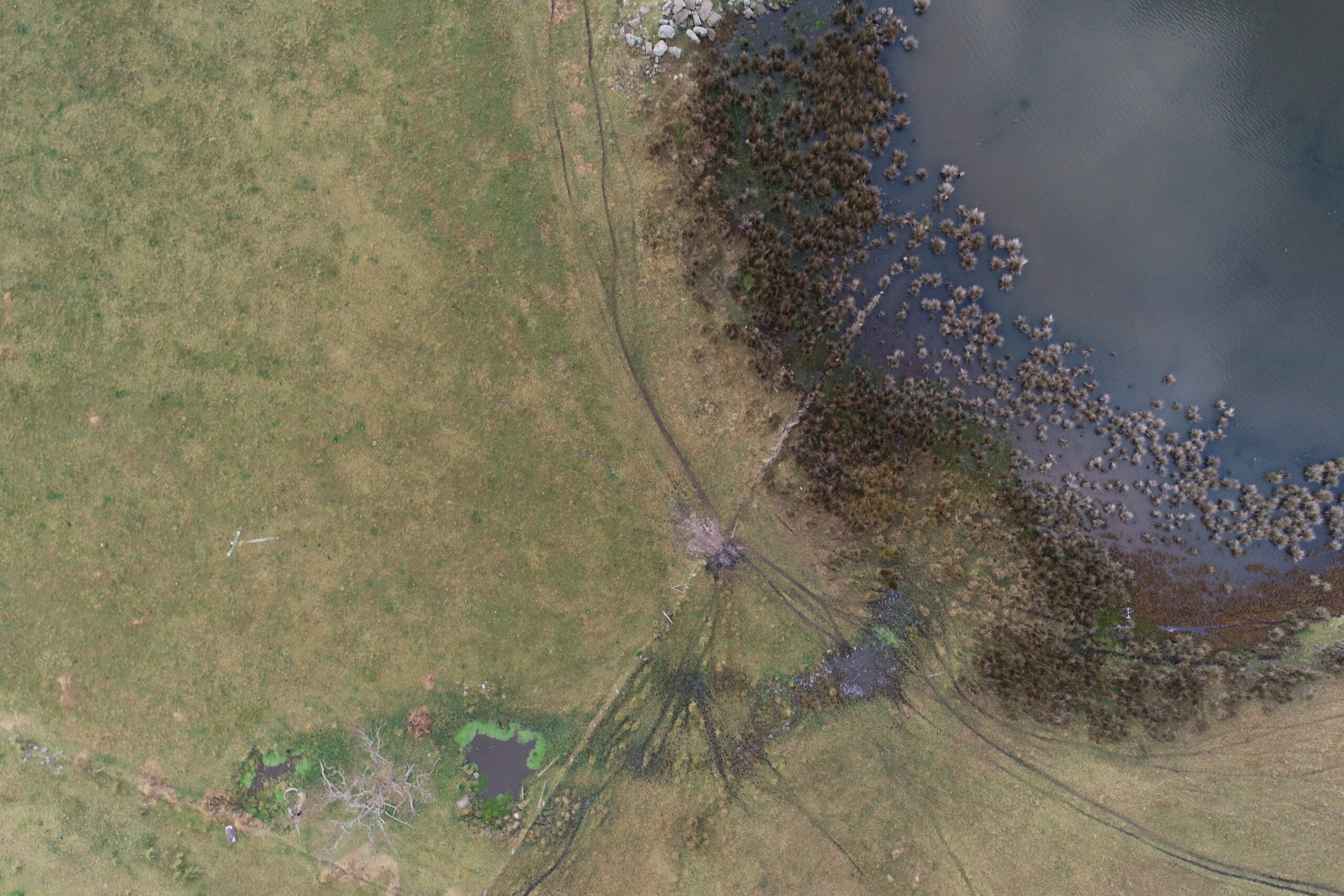 Burrill Lake Saltmarsh