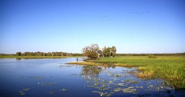 Scenic wetland landscape with blue sky and reflections.