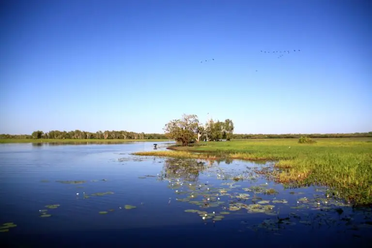 Scenic wetland landscape with blue sky and reflections.