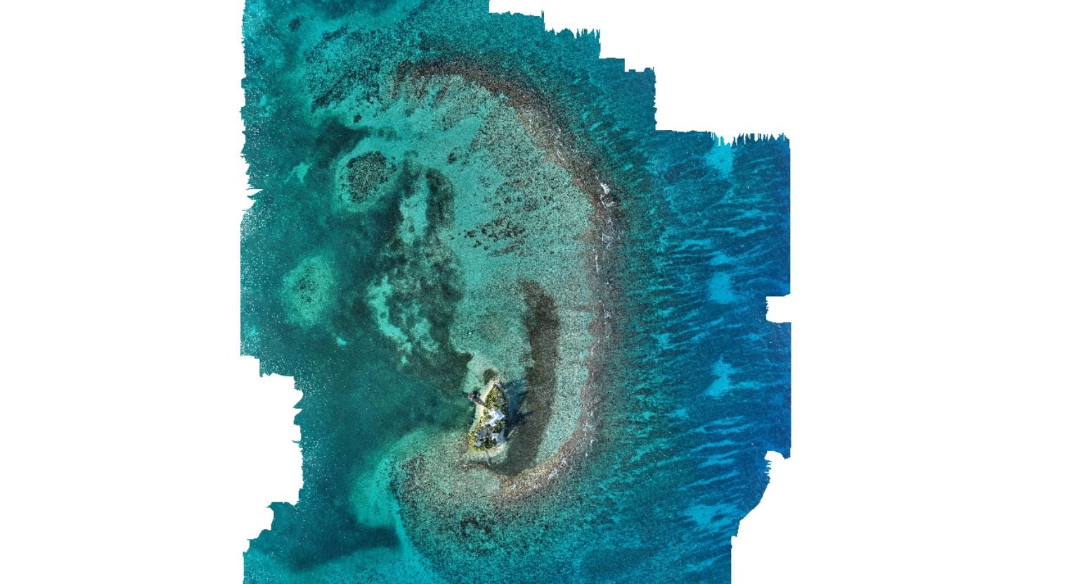 drone imagery of Carrie Bow Cay