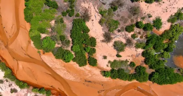 Aerial view of orange river with lush vegetation