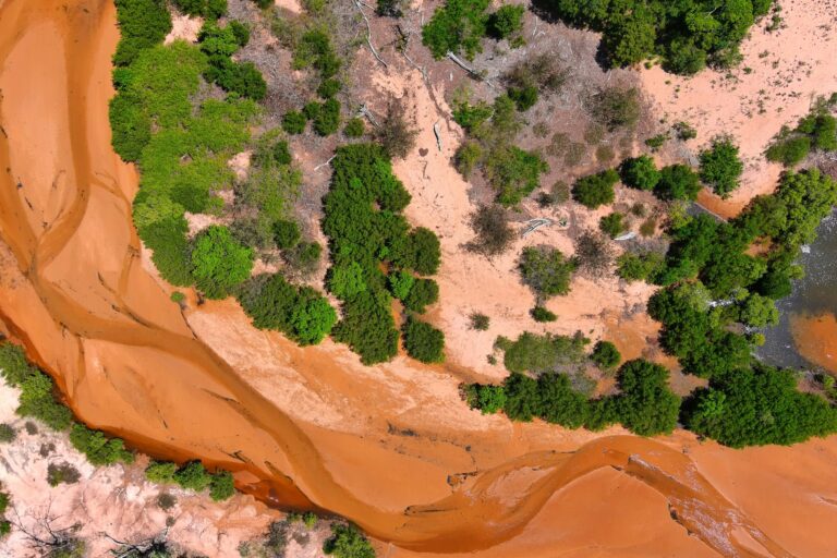 How to share insights from drone mapping data