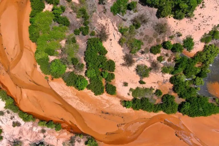 Aerial view of orange river with lush vegetation
