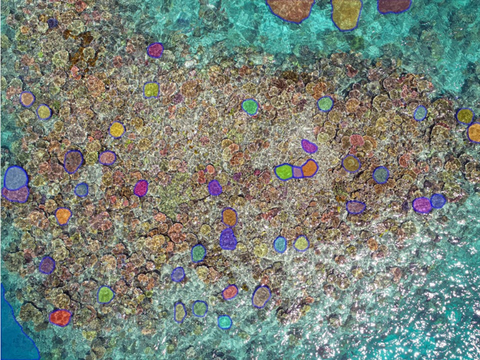 Segment anything from drone imagery over a coral reef with speckly surface water