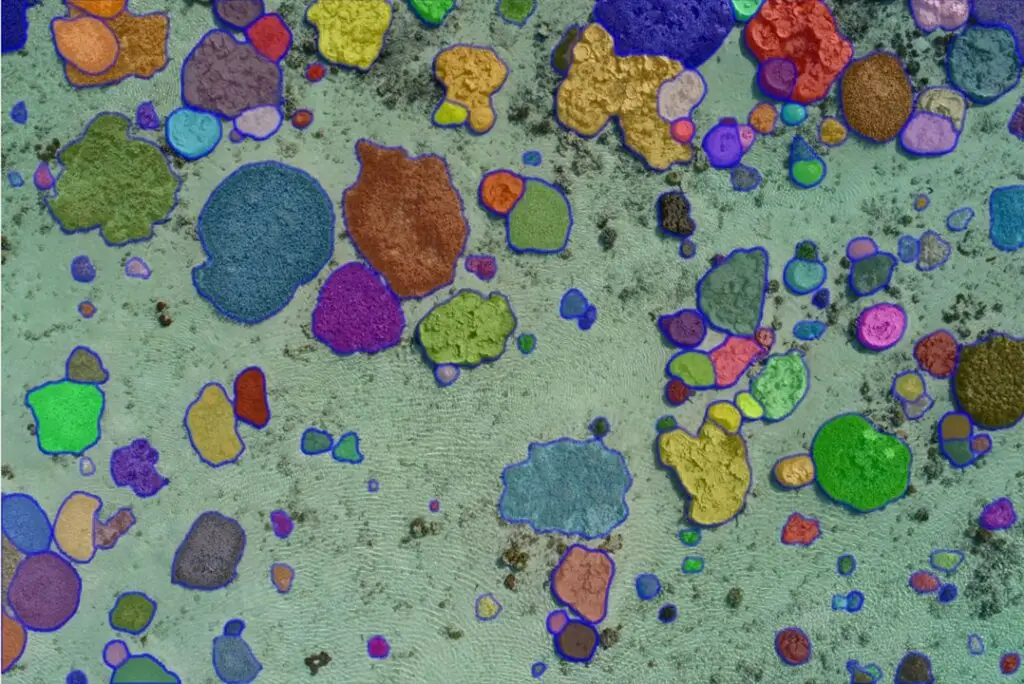 Colourful microscopic particles on a textured surface.