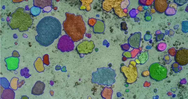 Colourful microscopic particles on a textured surface.