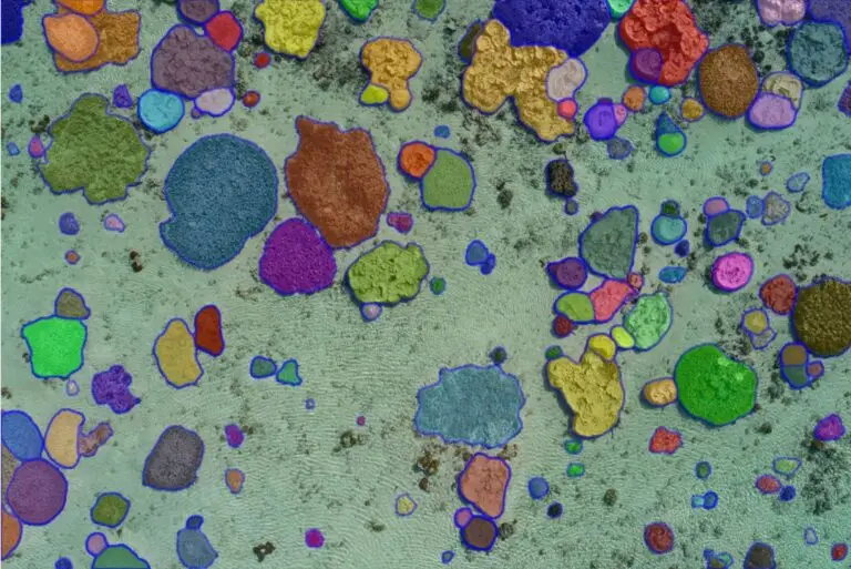 Colourful microscopic particles on a textured surface.