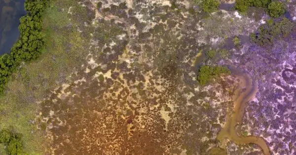 Aerial view of diverse Australian wetlands.