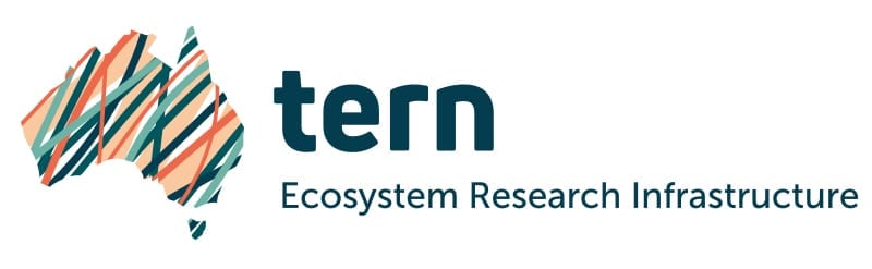 TERN logo