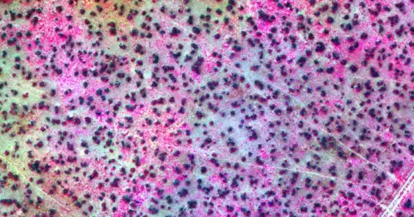 Colorful abstract pattern with tiny black dots